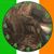 Patti Grigsby's profile image
