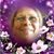 Marsha Mccann's profile image