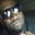 Caliking's profile image