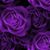 Teresa Hales Brantley's profile image