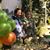 Seda Tosuner Sonmezer's profile image