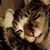 Debra Styers's profile image