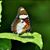 Regina Hightower-Blackwell's profile image