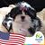 Julie Knott's profile image