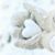 Judi Riddell's profile image