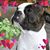 Heather Simpson Scott's profile image