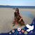 Leah Moffie Bordieri's profile image