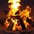 Todd G. Roberson's profile image