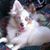 Diane Chaperon Wilson's profile image