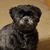 Mandy 'Hedlund' Peel's profile image