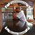 Ken Agustin's profile image