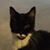 Bill Sarno's profile image