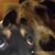 James Hyduke's profile image