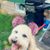 Jan Duffy Dionne's profile image