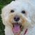 Diane Stasiek's profile image