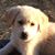 Mary Leslie Buice Patterson's profile image