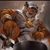 Robbie McLane's profile image