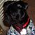 Jackie White's profile image