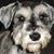 Kathy Schubert's profile image