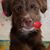 Nancy Cole Phy's profile image