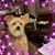 Tina Freels-Foley's profile image