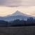 Carol Johnsen's profile image