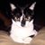 Olivia Montellano Rankin's profile image