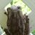 Amy Sanders's profile image