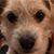Deana Challis's profile image