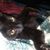 Megan Clingan's profile image