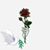 Idil S Abdi's profile image