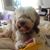 Tuto Newman's profile image