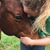 Kiersten Thompson's profile image