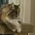 Kathy Kuehn's profile image