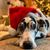 Kelly Brown-Kluesner's profile image