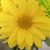 KaTy Sanborn's profile image