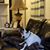 Renee Railsback's profile image