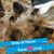 MarkandDonna Whitham's profile image