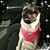 Diane Holm's profile image