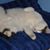 Nancy DeBois's profile image