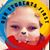 Dorraine Wolfe's profile image