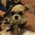 Heather Haake's profile image