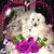 Sally Thompson's profile image