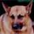 Jack Shepherd's profile image