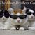 Lupo Carlino's profile image