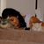 Zulema Arguelles's profile image
