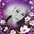 Cecilia Salsedo Rivas's profile image