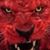 William Stacy's profile image
