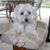 Grayce Elgar's profile image