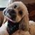 Janine Russell's profile image